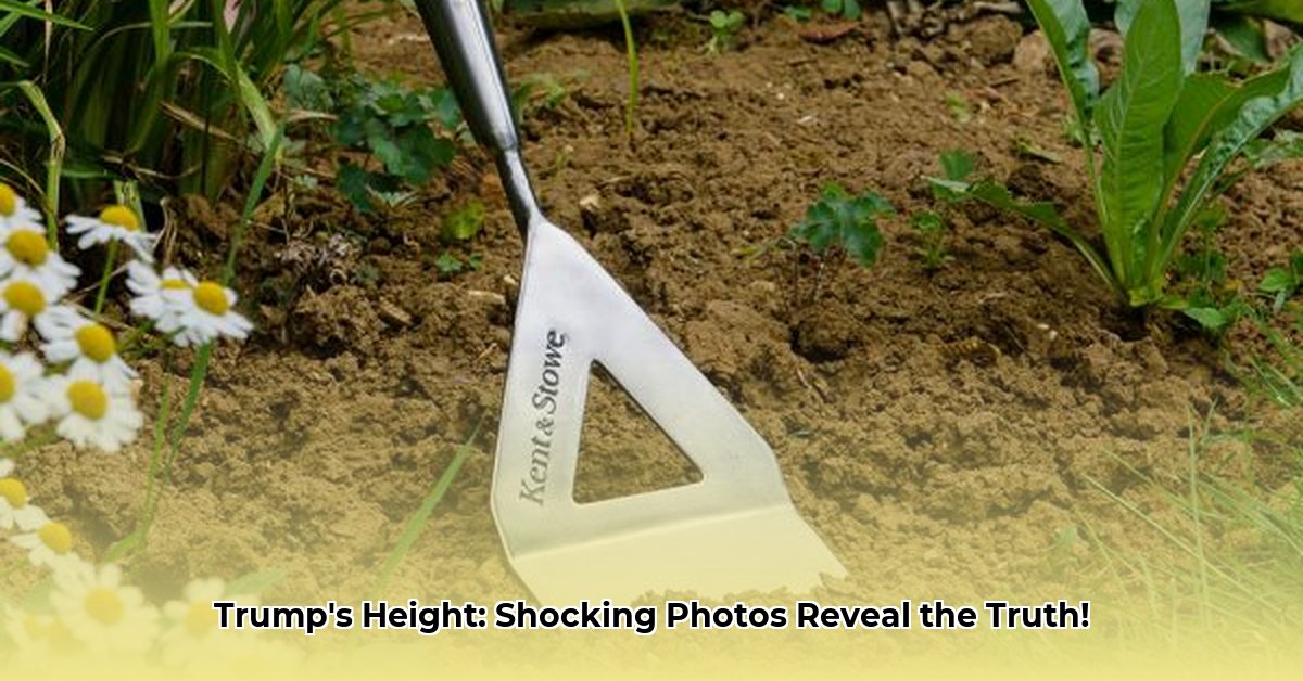 hoe-lang-is-donald-trump